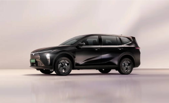 VinFast VF6 Black